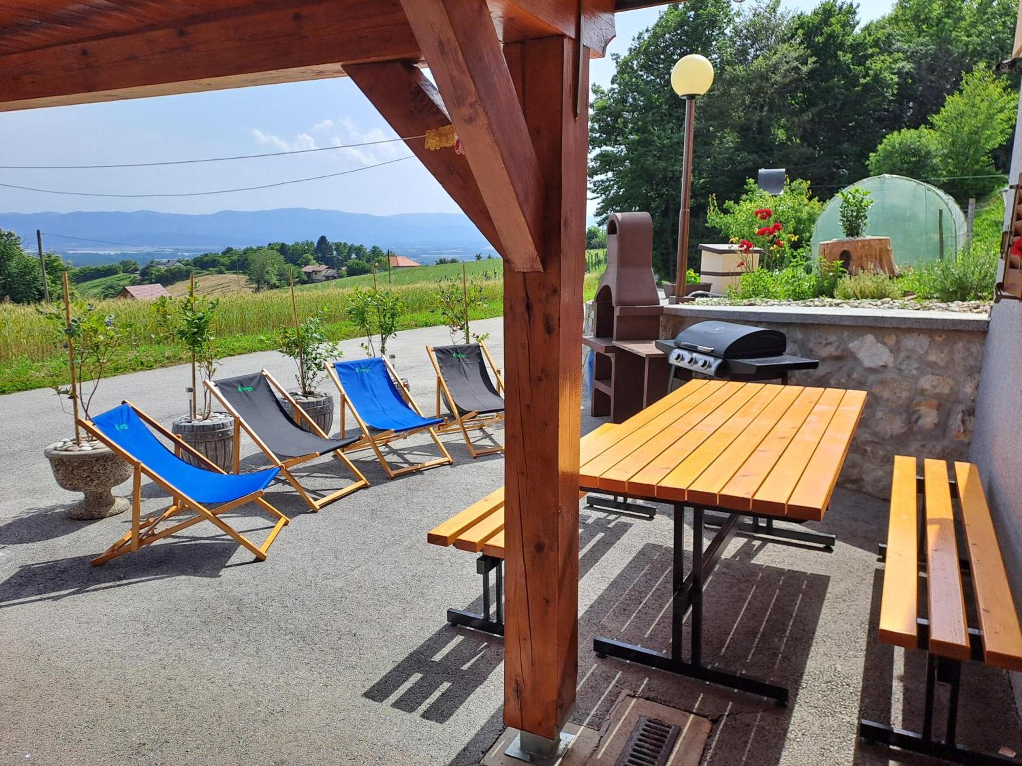 Apartments Jernej with Onsite Wellness Brežice Zewnętrze zdjęcie